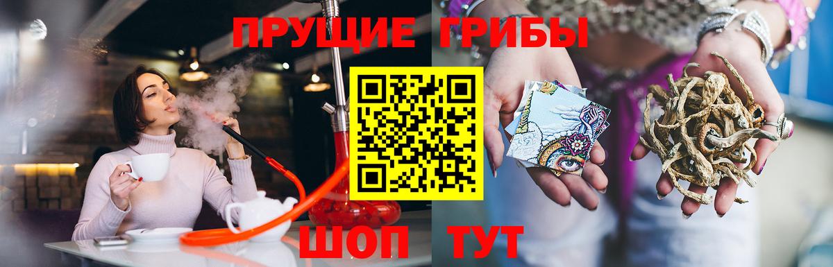 Галлюциногенные грибы Psilocybe  Вход с VPN  Ковров 